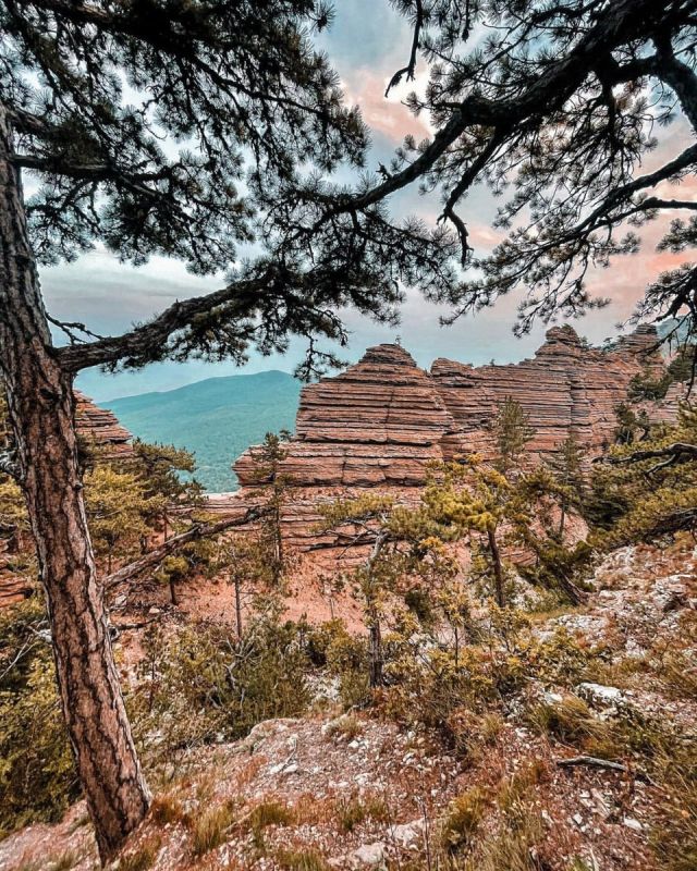 ������ �������� - ���� �� ���������� ���� � ������ ��-�����