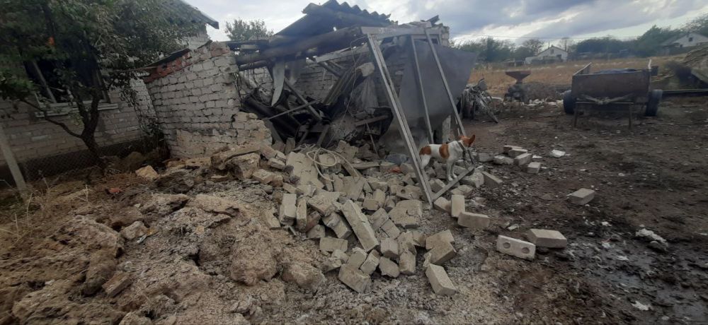 ���������� ������� ������� ���� �� ������ ������� � ���������� ���������� ������