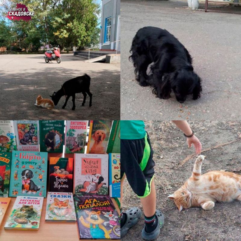 � ����������� ���������� � ���������� ����� ������ ����� ������ ��������� ��������