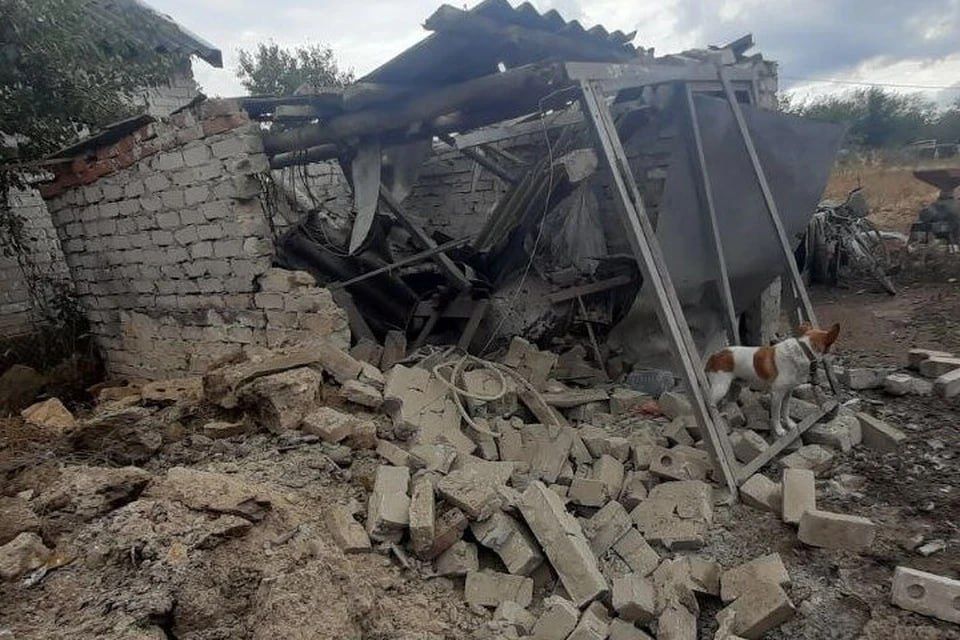 ���������� ������� 7 ������� ��������� ��� � ��� ���� � ����������