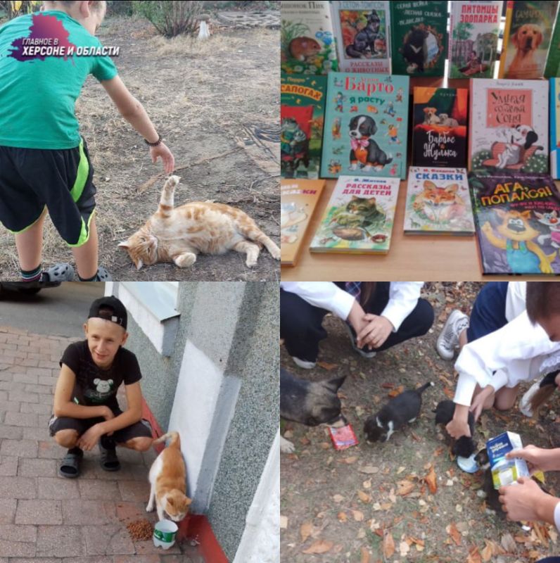 ����� ������ ��������� �������� ������� � �������� ����� � ���������� �������