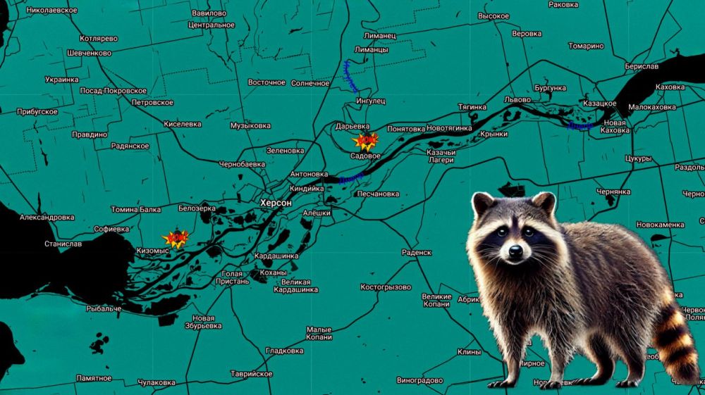 ���� �� �������: ������ ����! ���������� �� �����������: