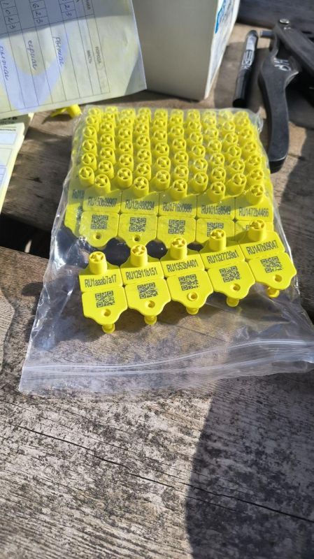 ��������� ���������� �������� � ���������� �������