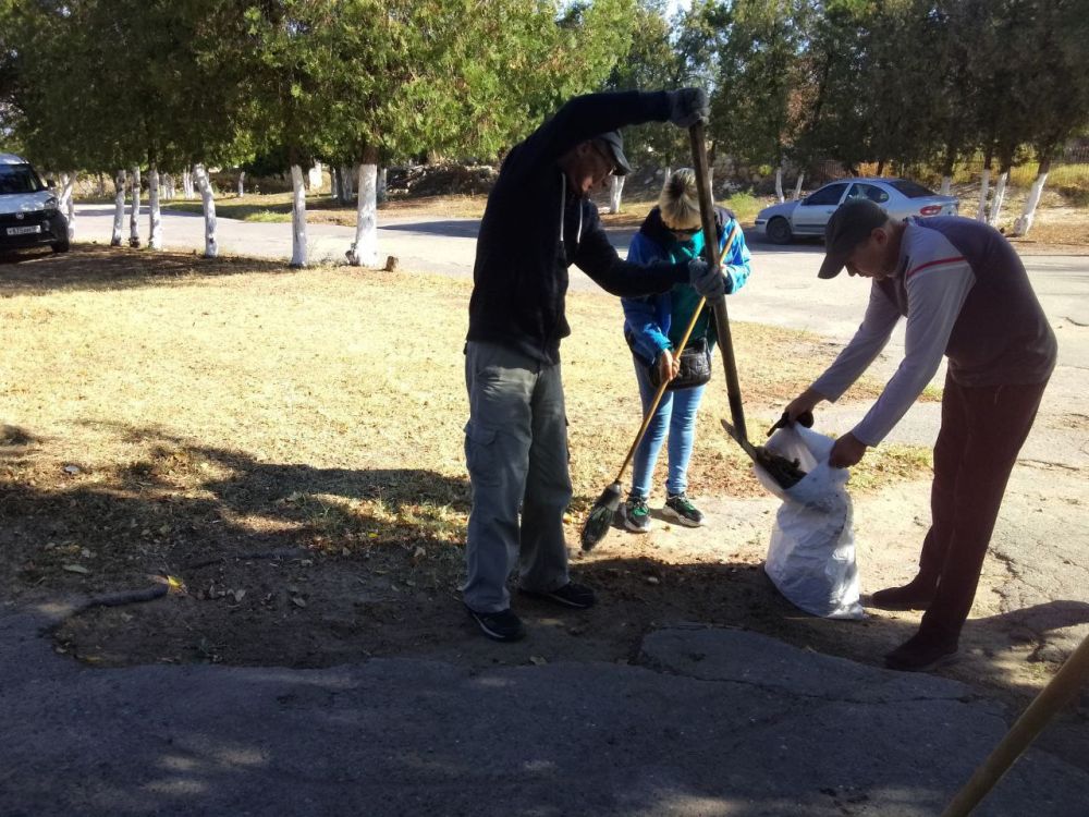 � ������������� ��������� ������ ������������ ������ �� ��������������� ���������� ���������� �������