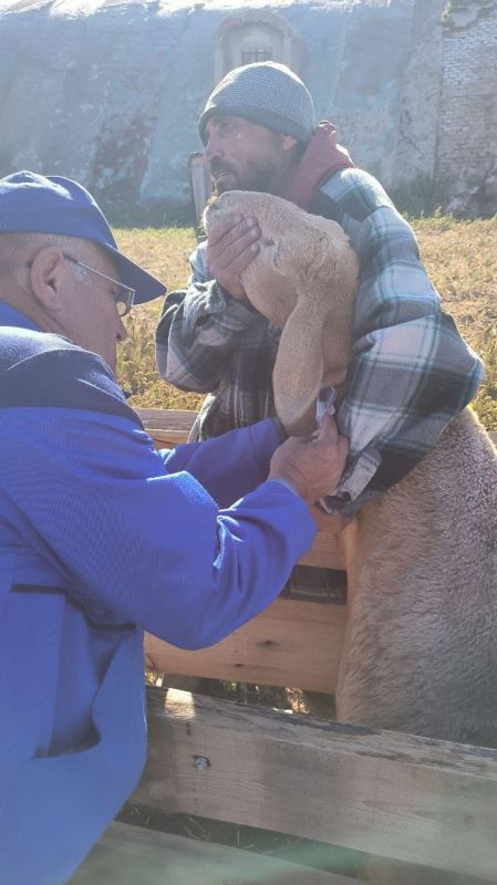 ��������� ���������� ����� �� ������ ����� � 500 ���� � ���������� �������