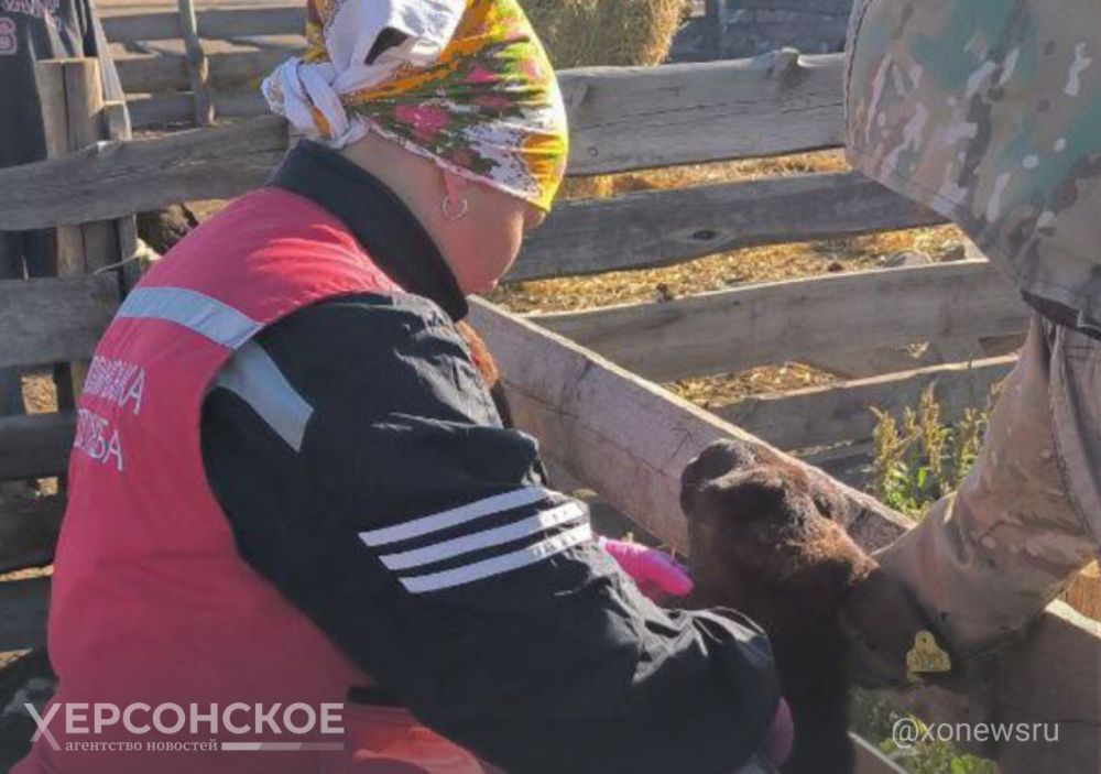 ������� � ���� �������� � ������, � �������