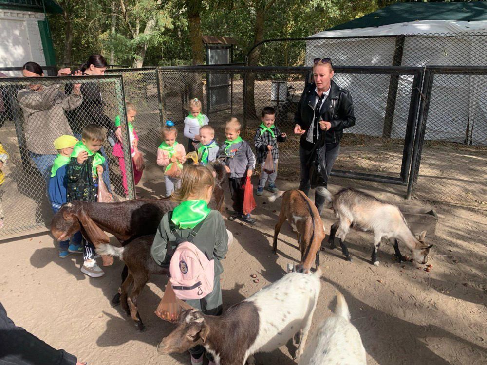 �����������, ����������� ���������� ��� ������ ��������, ������ � ����������� "�������-����"