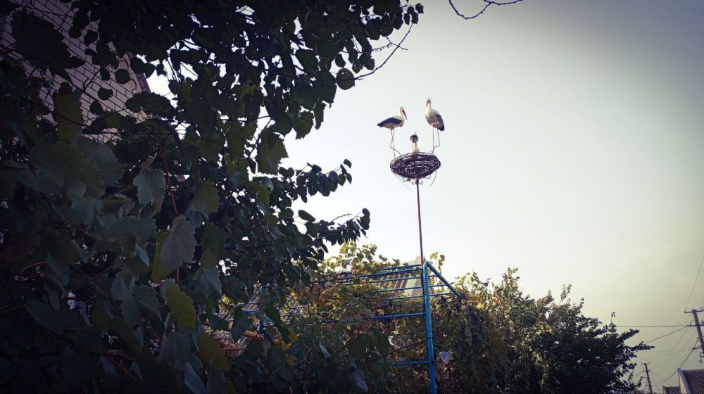 � ������ �����, �����������!