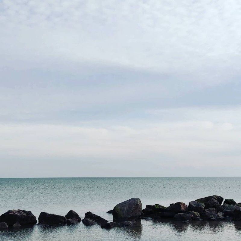 ������� "���� ����������"