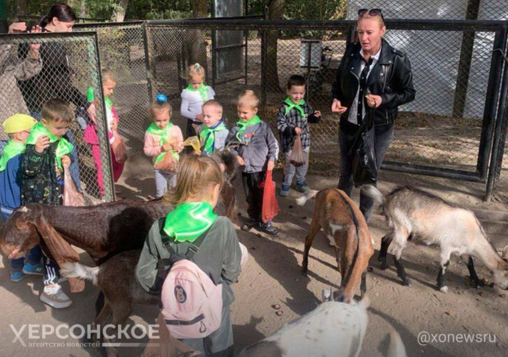 ���� ������. ��������-���� �������� ����� ��� ������� �������� � �������