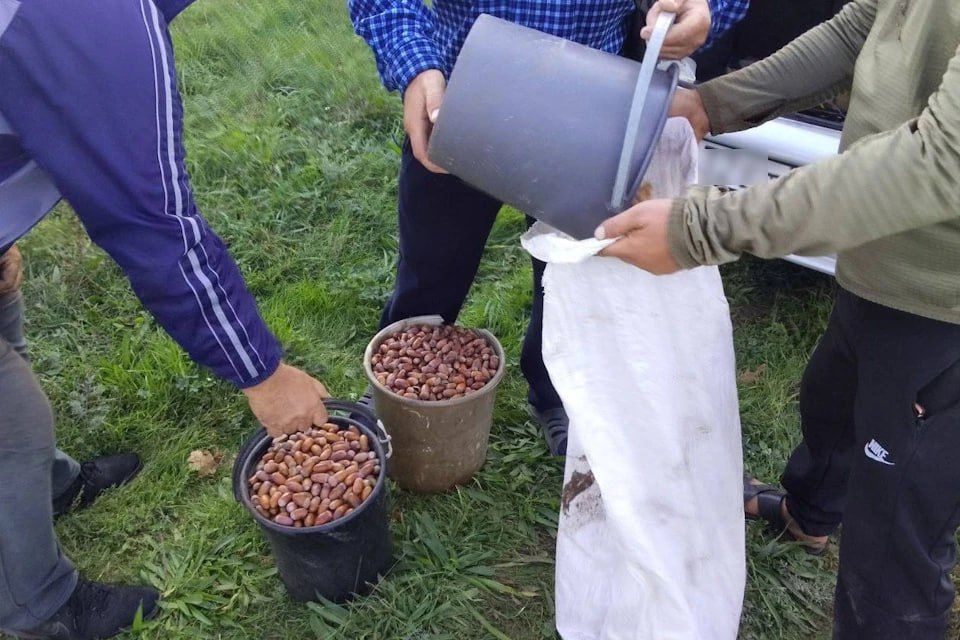 � ����������� ����������� �������� ���� ����� ����