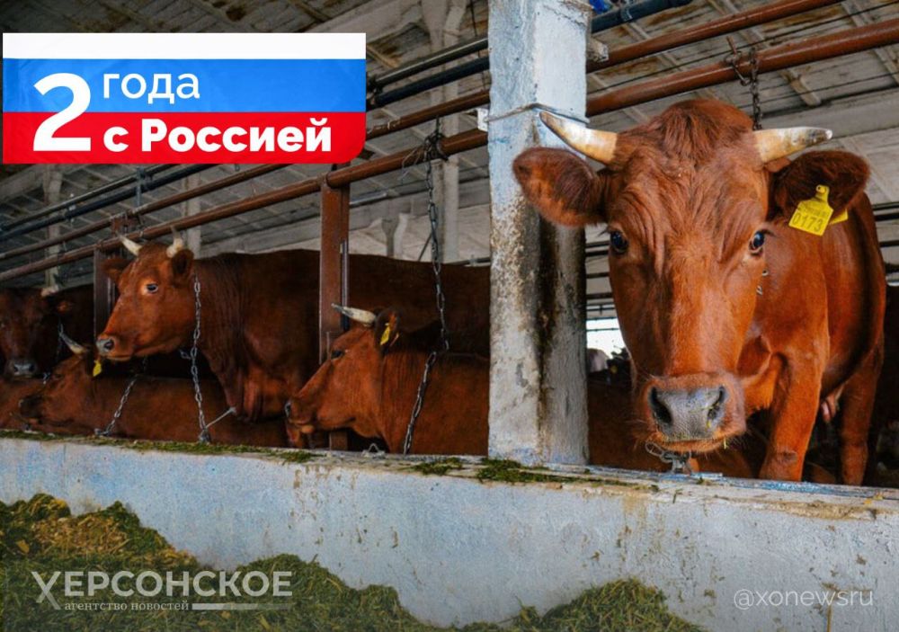 123 9.2 ���� ������ ��������� �������� �� 2 ���� ������������������ ���������� � ��������