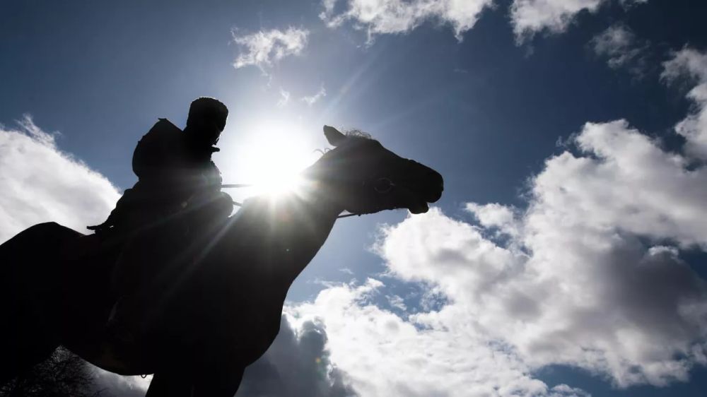 ���������� ������� ������ ����� ����� �������� ������ ����������� �������� �������