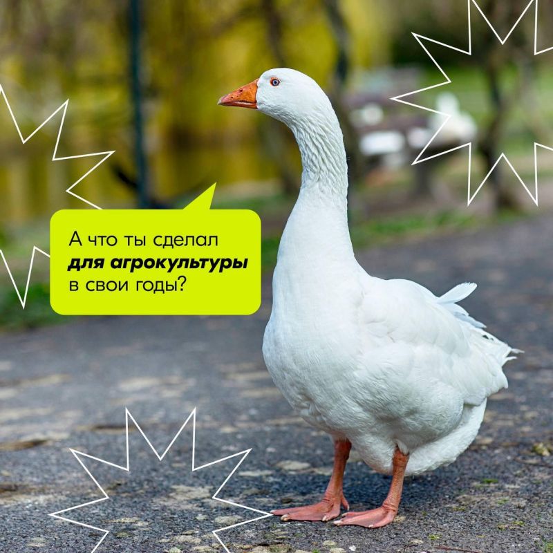 ���� ����������� ���� �����-�������, �� ��� ������� ��� ���