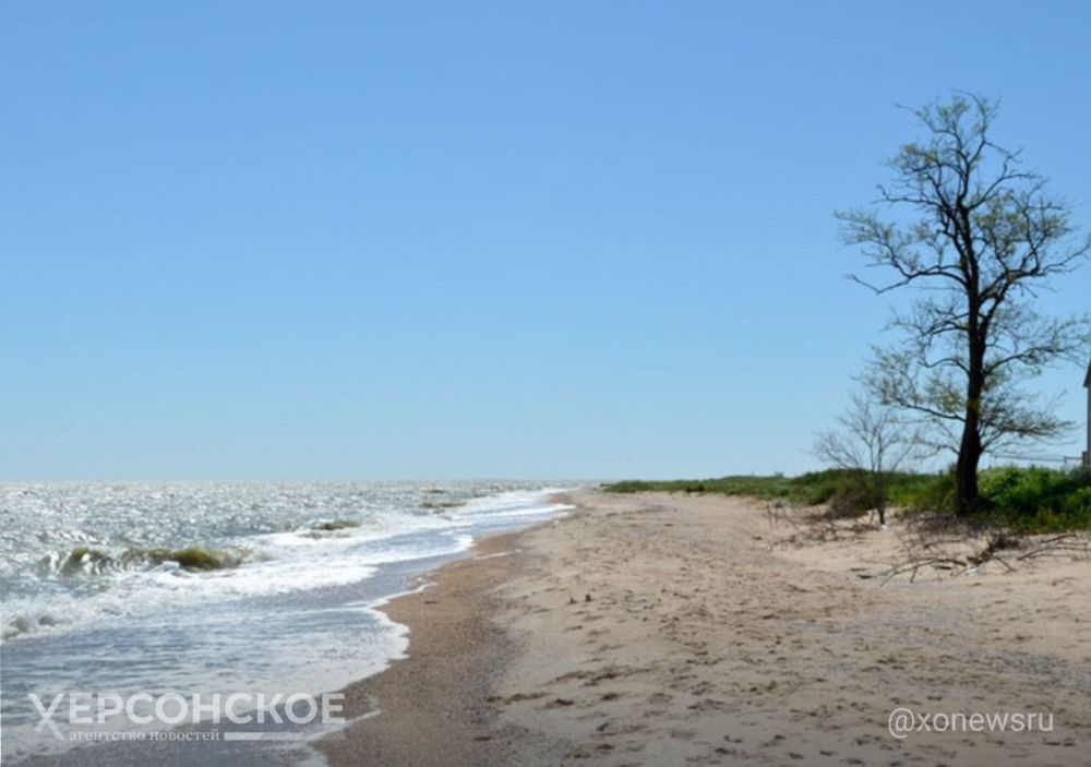 ���������� ������� ������ ������� � ���������� ����� ���������� ��������� ����������� �������� ��������� �� 2040 ����