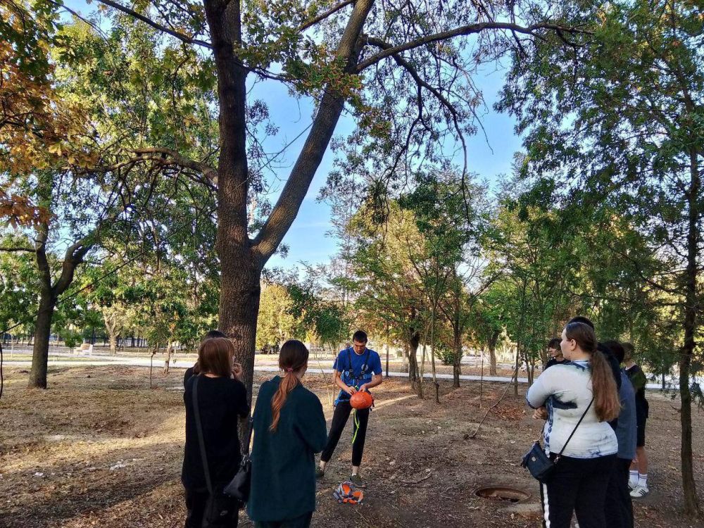 �������� ����������� ������������ �������� ����� ����������� ������-������ �� �������������� ������������� ����������