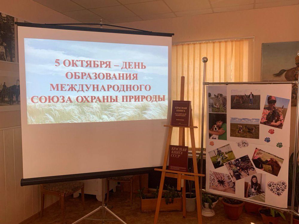 � ���������� ����������� "�������-����" ������ ������������� "������ �������� ������� �����"