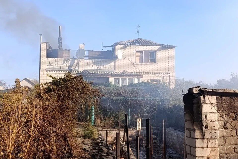 ���������� ����������� ������������ ����� �� ����� ������� 87 ������ �� ���������� ���������� �������