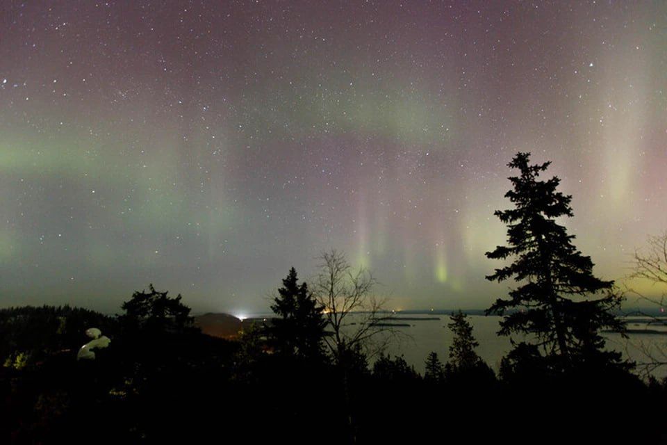 � ���������� ������� �������� ��������� ��������� ����� �������� ������