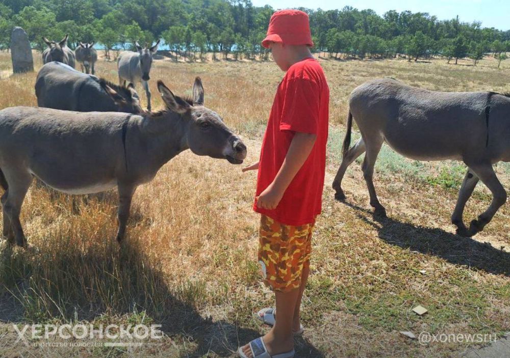 � ���������� ����������� ��������-���� �������� ��������� ���� ������ ���� ��������