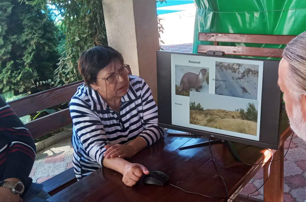 � ������������ ���������� ����������� ������������ ������ �� ��������� ������������ �����������