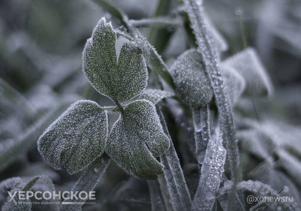 �������������: ������ �� ����� 10 ����� ������� ����� � ���������� �������