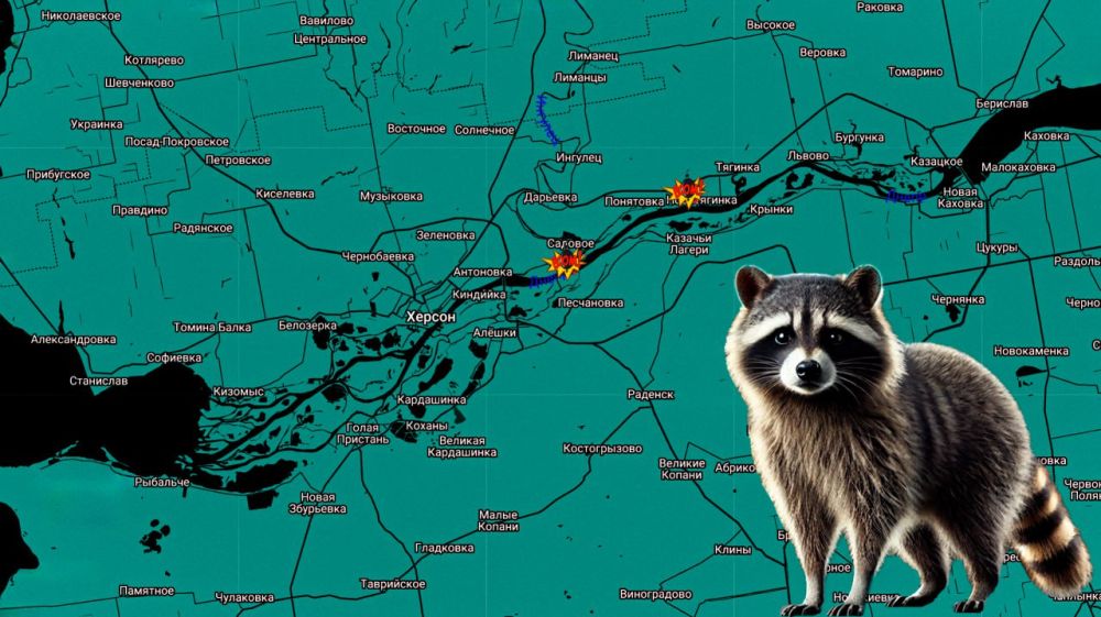 ���� �� �������: ������ ����! ����������� ����������: