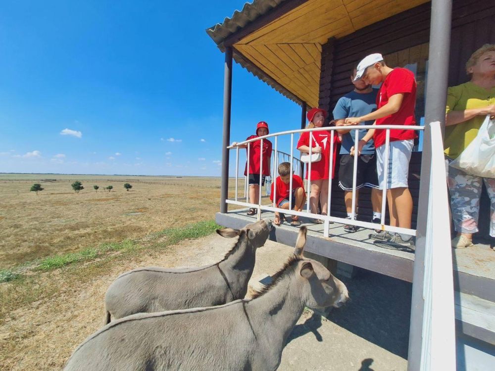 � ���������� ����������� "�������-����" �������� ��������� ���� ������ ���� ��������