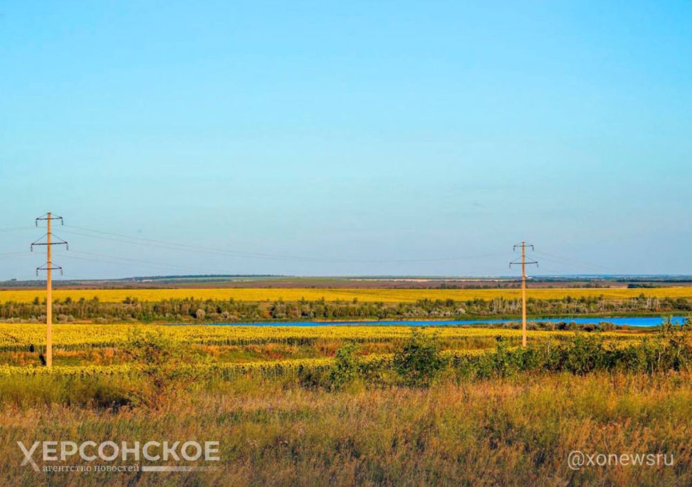 132 ���� ����. 11 ������� ����������� ������� � ���������� ������� ���������� �� 26�C