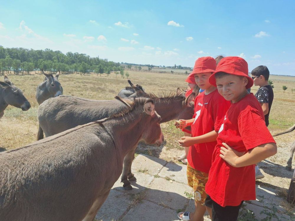 ����� �������������� �����������, ����������� ���������� ��� ������ ���� ��������, ����������� ���������� ���������� "�������-����"