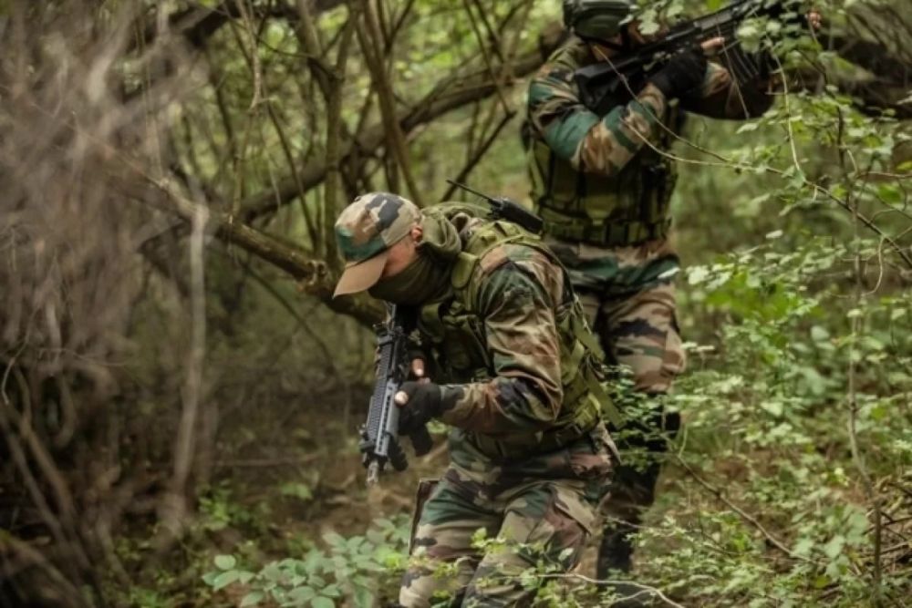 ����������� ������ ������ ��������, ��� ��������������� �������� ���