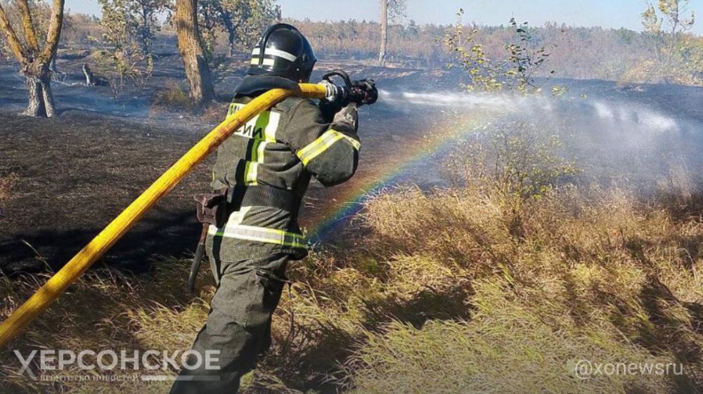 �� ����� ���������� ��� ���������� ������� ������������� ���������� ����� ��������������