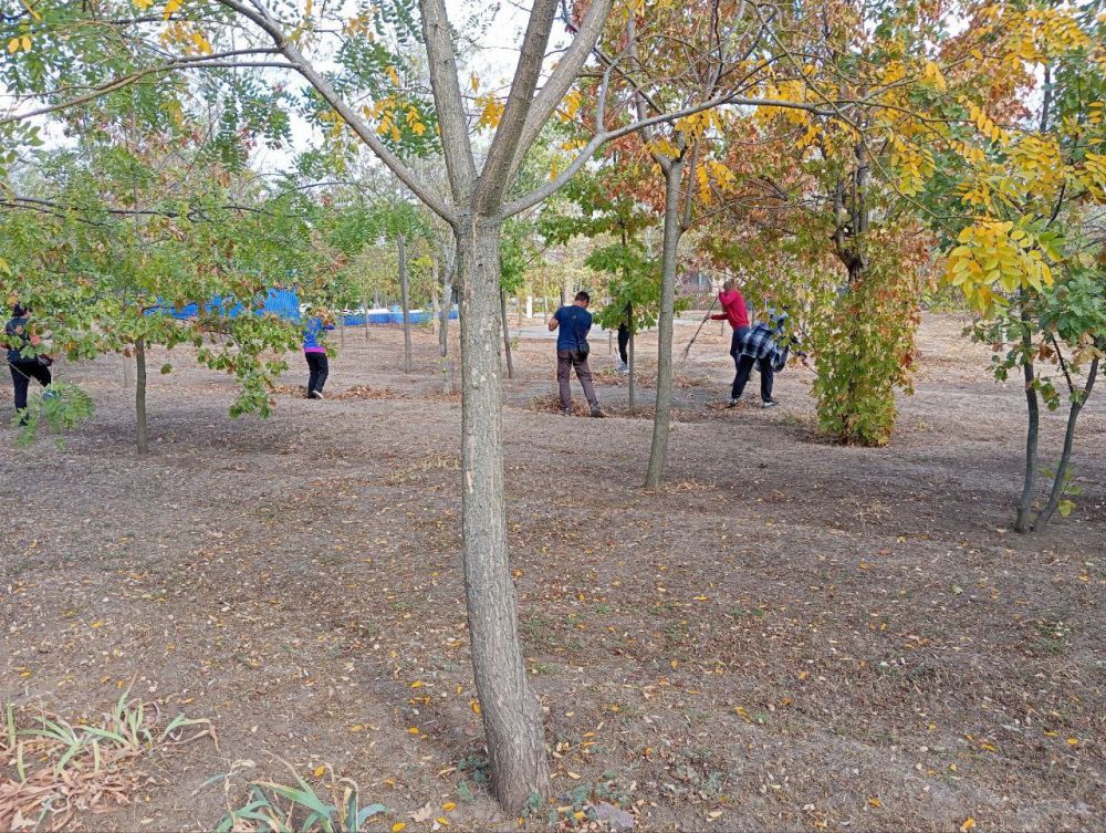 ����������� ��� ����������� ��������� ��������� ������ �� ���������� � ���������� ��������� ���� ������������� ����������� �� ���������� �������� ��������