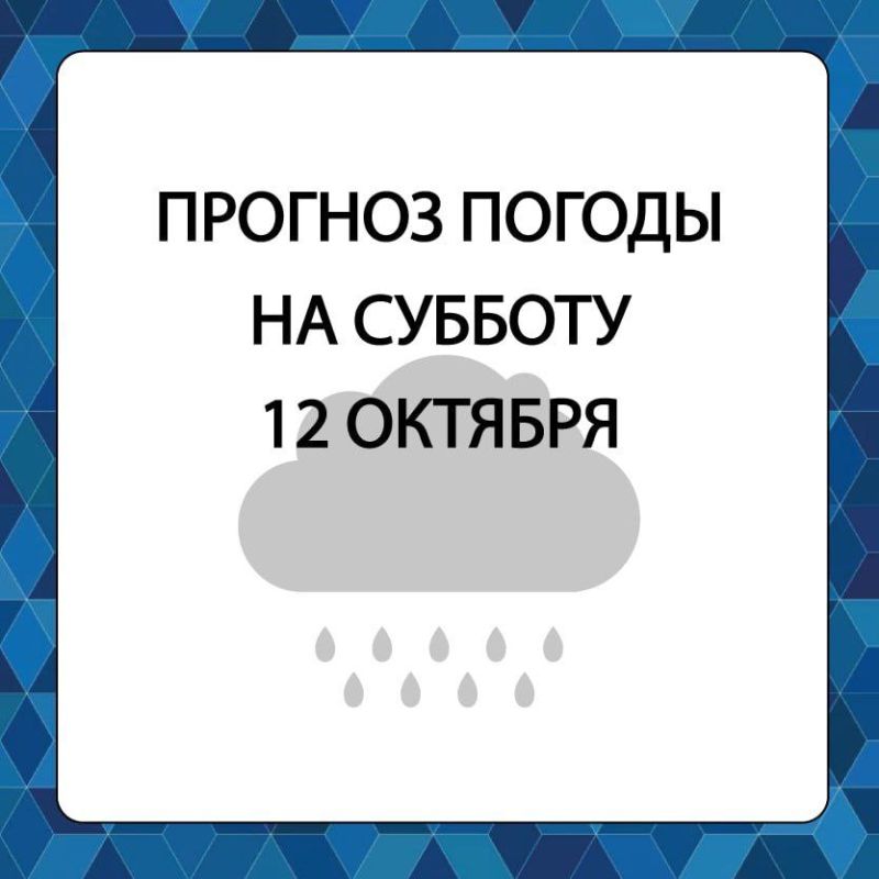 ������� ������ � ����������� ������������� ������ �� �������, 12 �������