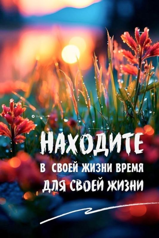 ���� ������� ������, ������!