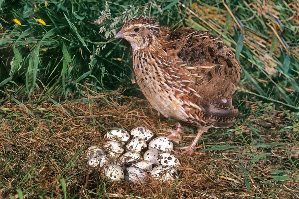 ������ �� ��, ����� ���������� ��� ����������� ����� �������� � ����� �������?