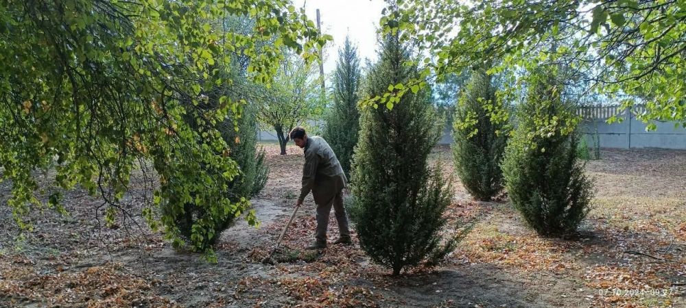 ���������� ��������������� ����������� ������� ����� �� ������� ����������