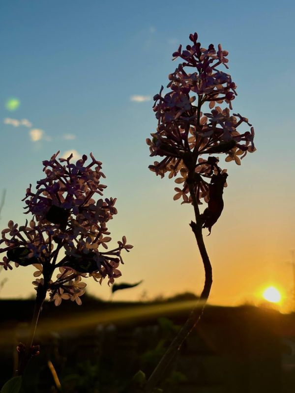 ����� ����������: ���������� �������. ������� 2024