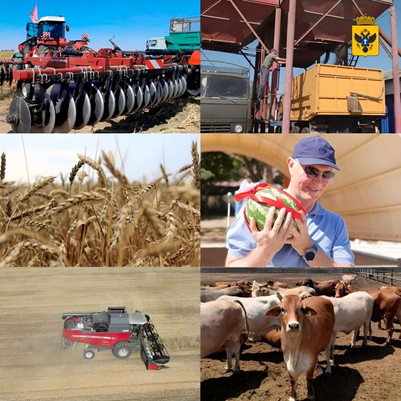 ���� ��������� ��������� ���������