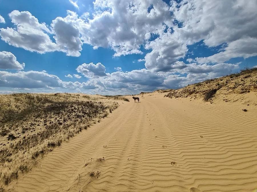 ����� ����������: � ���������� ������� ����������� ���������� ��������� ���� � ����������� �����, �������������� ����� ���������� ������� � ������