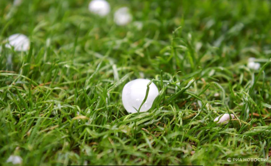 ������ �� ����� ����������� ������