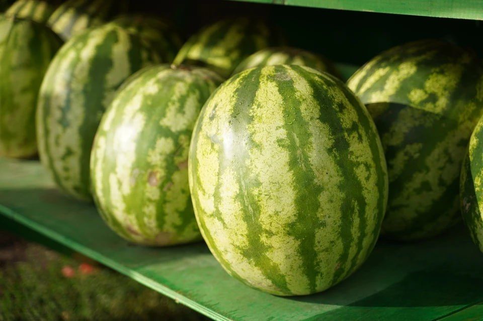 �� ������������ ���������� �������� � 2025 ���� ������� ����� 1 ���� ������