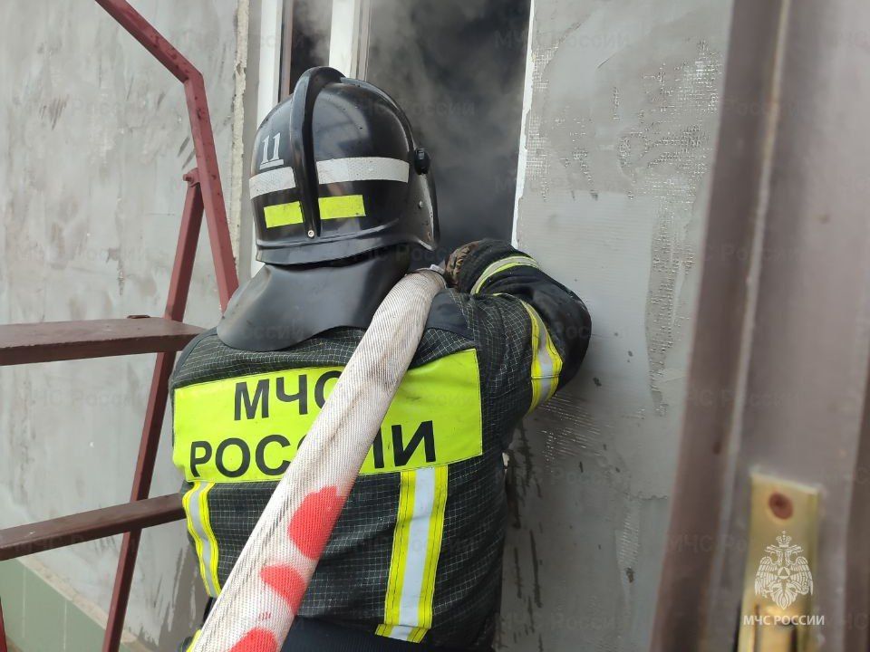 Пожарно-спасательное подразделение Херсонской области ликвидировало возгорание в Алешкинском округе