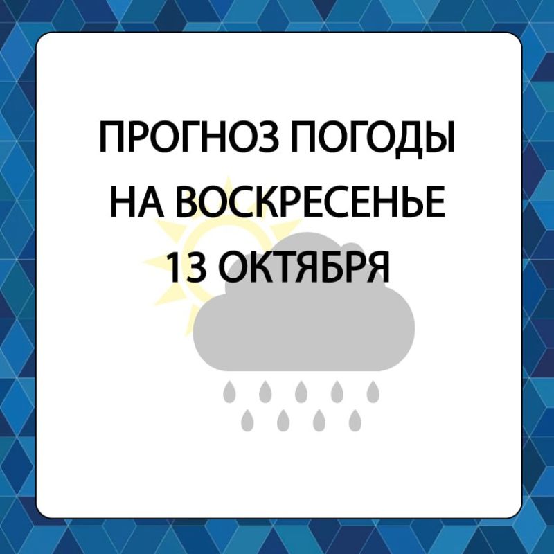 ������� ������ � ����������� ������������� ������ �� �����������, 13 �������