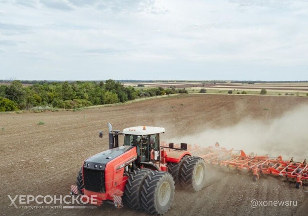 ���������������� �������� ���������� ������� � 2024 ���� � ������