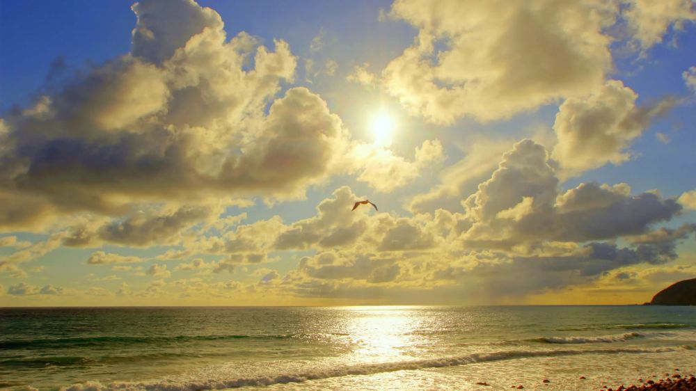 ����� ����������: ������ ����, ������! ����� ��������� ��� ����� ������� ����� ������� ������