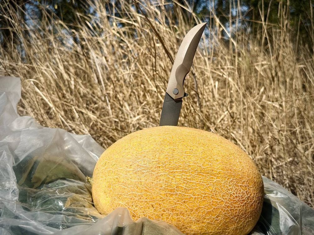 ������ ����� � �������, �������� �� ��� �����