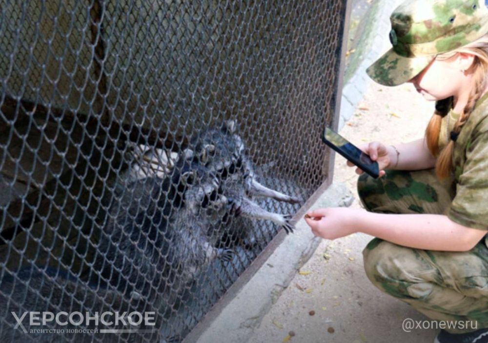 �����, ������, ������: ������������� � ����� �������� ��������� � ��������-����