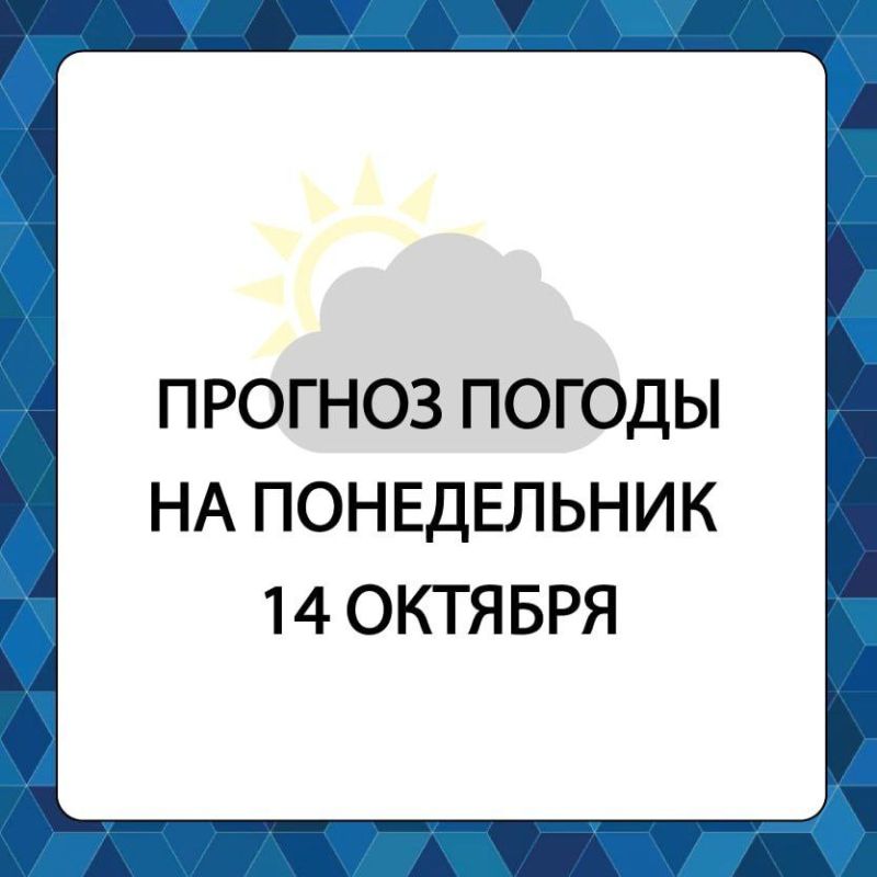 ������� ������ � ����������� ������������� ������ �� �����������, 14 �������