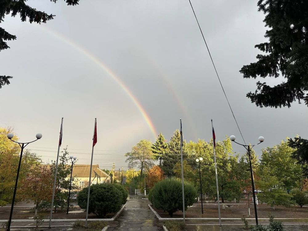 ������� ��� ������ ��������